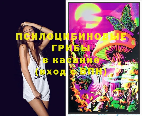 молекула духа Абинск