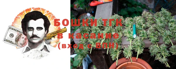 хмурый Алексеевка